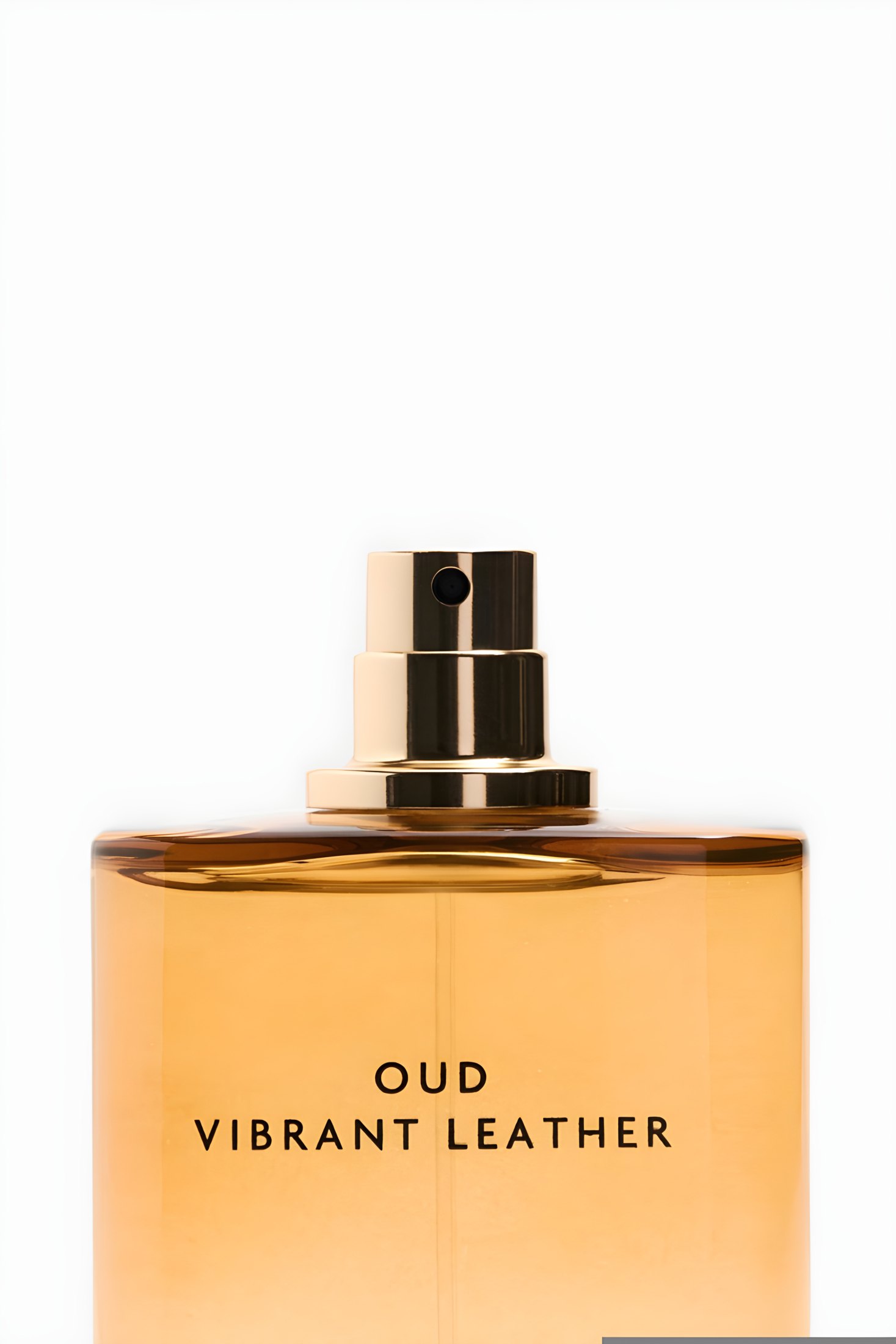 Zara Oud Vibrant Leather 100ml