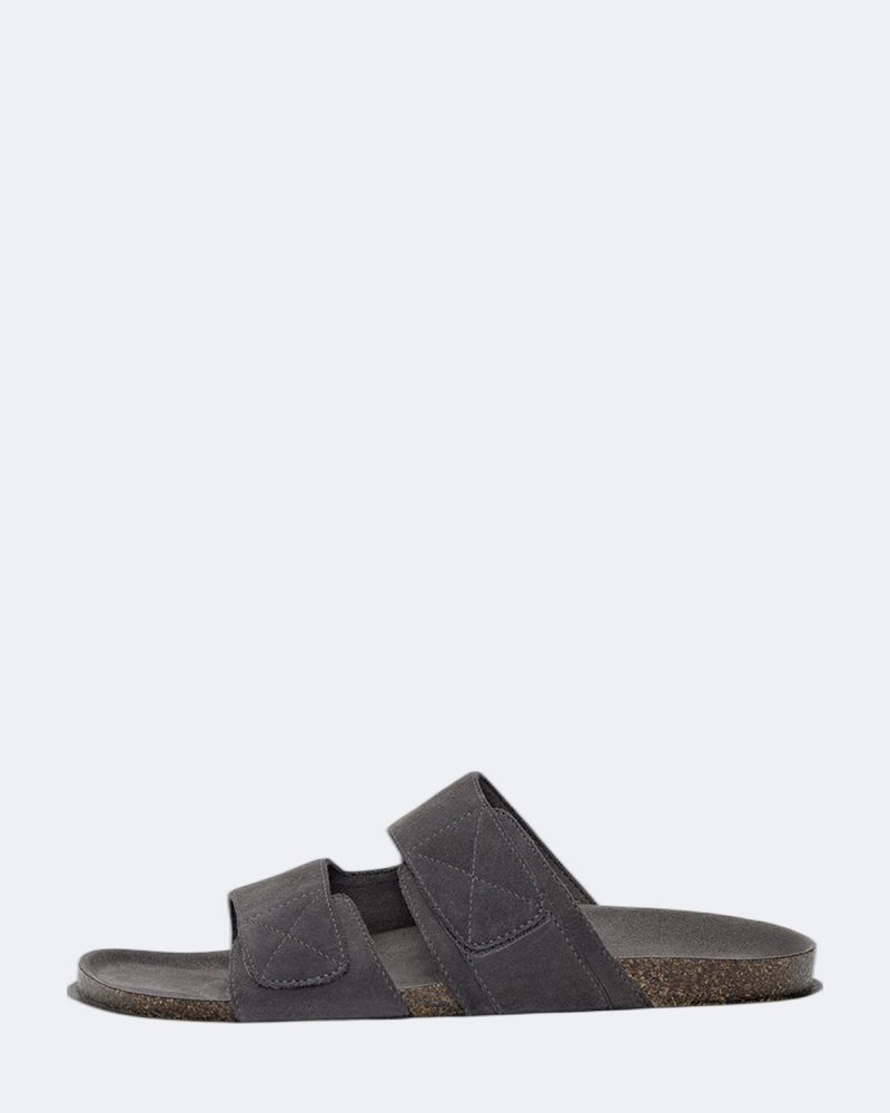 Mule
