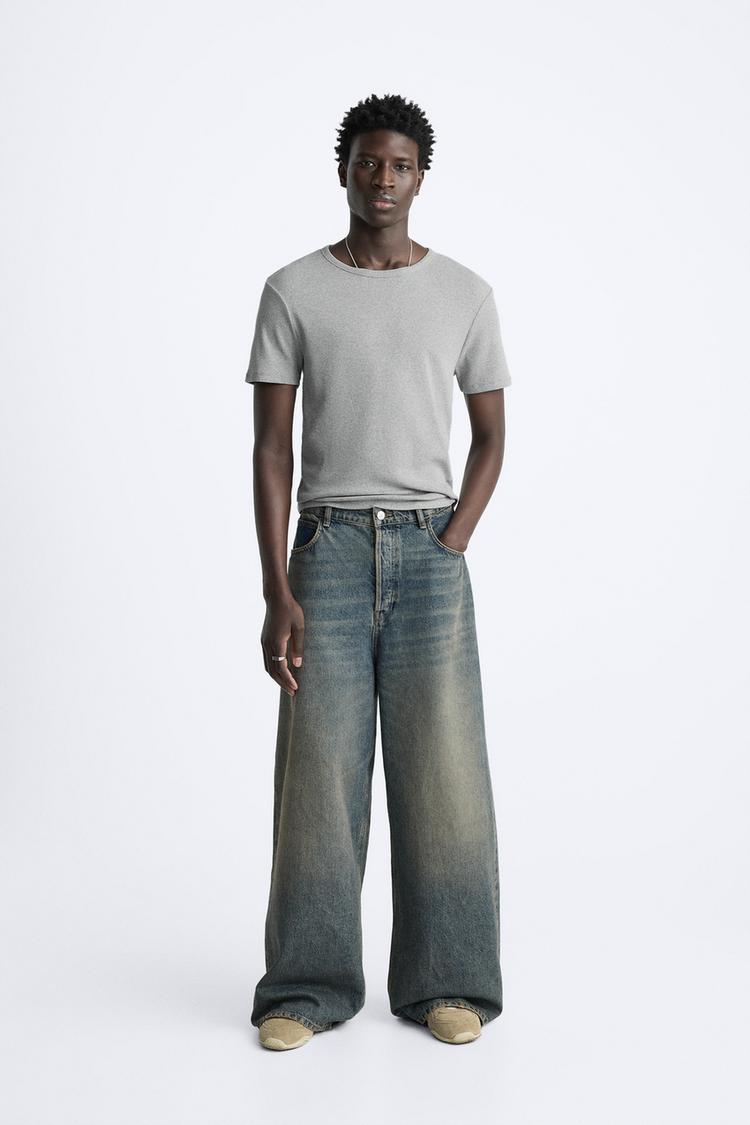 Zara Essential Cotton Crew Tee — Silver