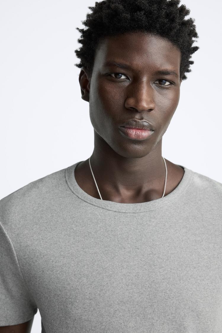 Zara Essential Cotton Crew Tee — Silver