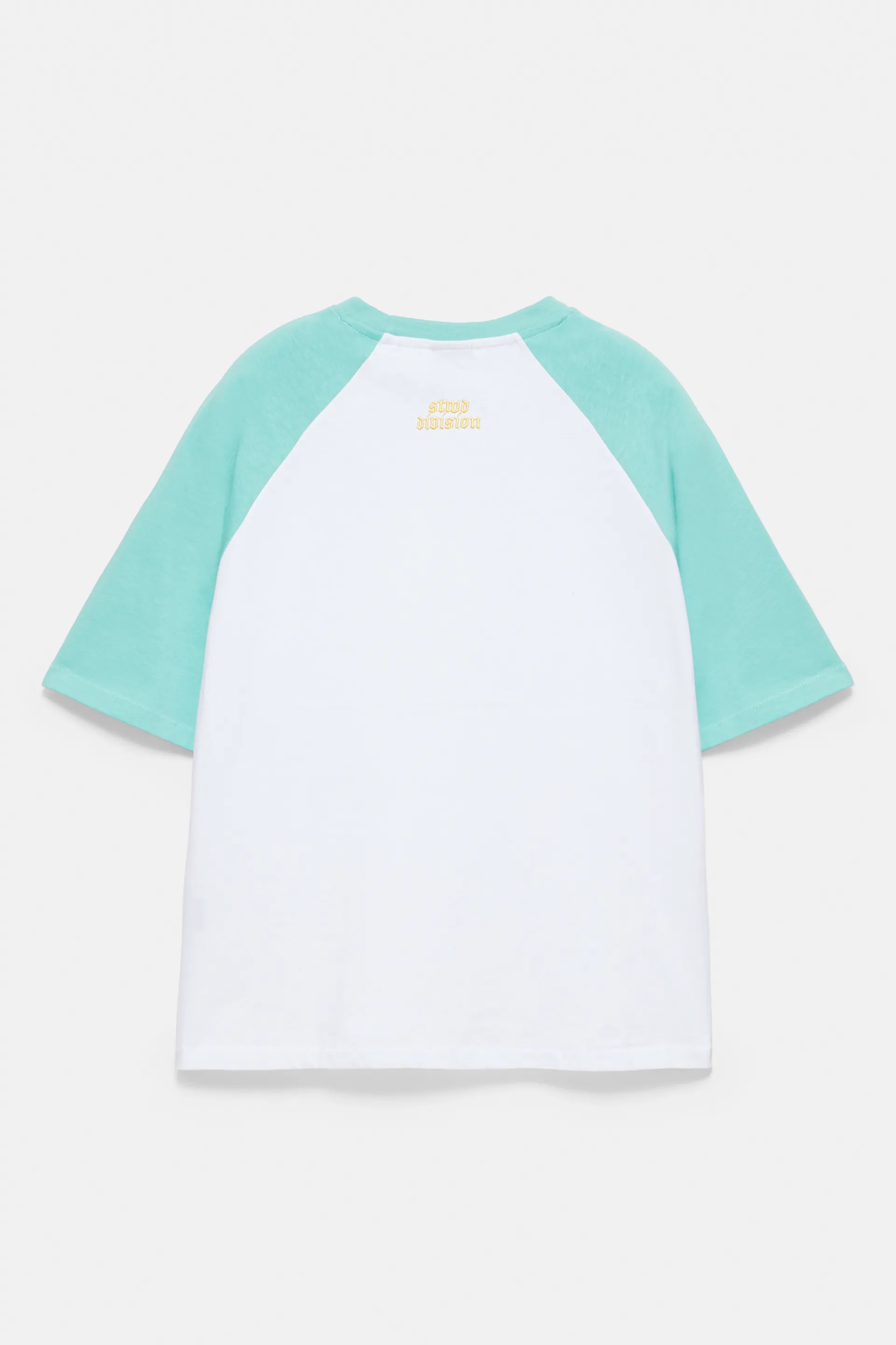 Raglan sleeve T-shirt